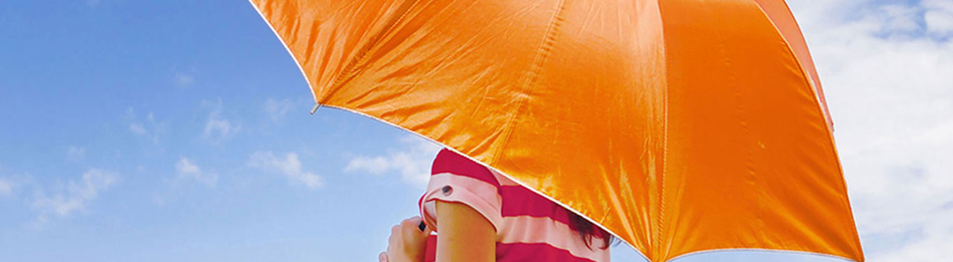 Delaware Umbrella insurance coverage